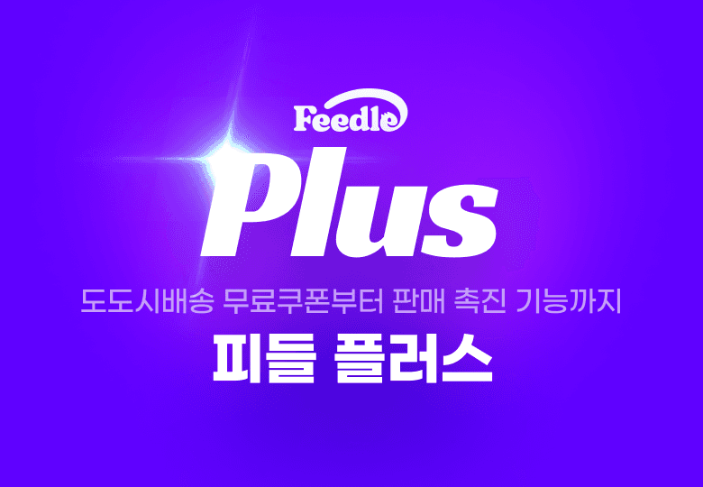 피들 플러스